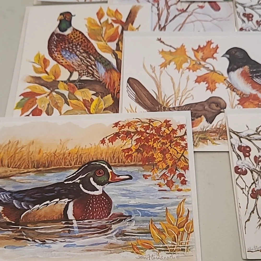 bird nature greeting cards new original